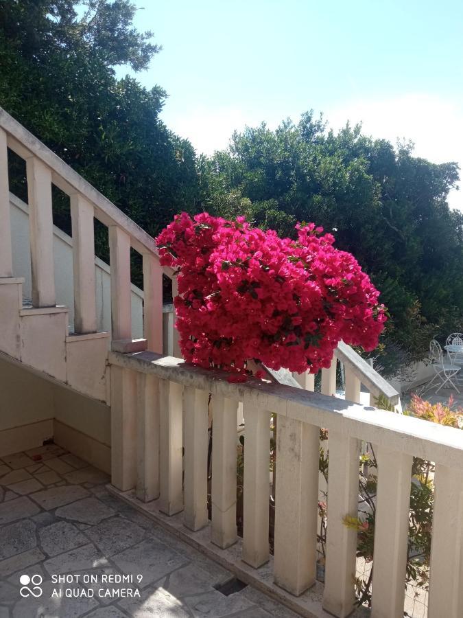 Apartman Hibiskus Bol Exterior photo