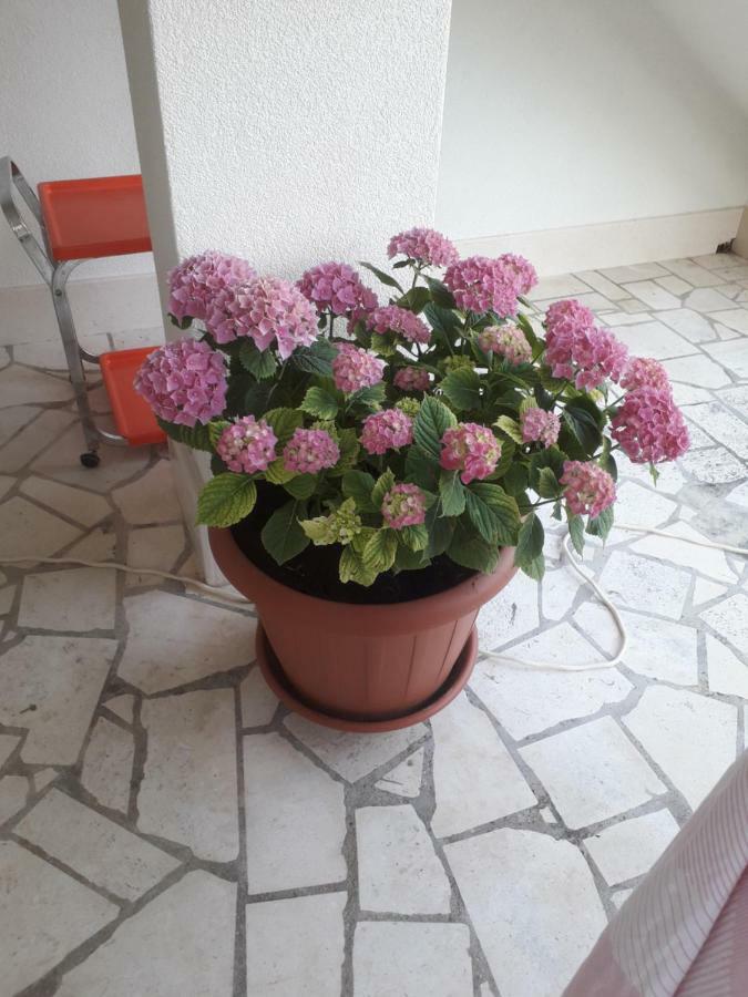 Apartman Hibiskus Bol Exterior photo